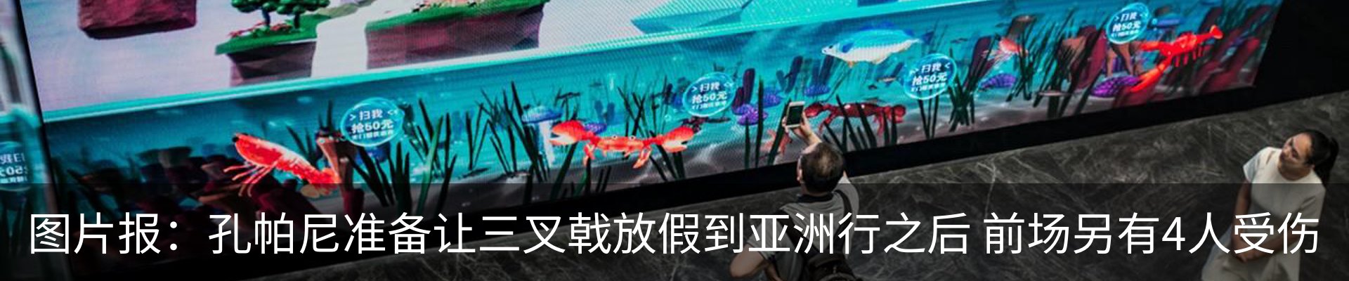 新闻动态