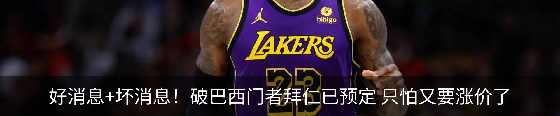 新闻动态