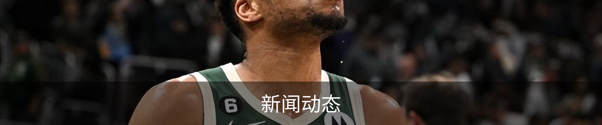 新闻动态